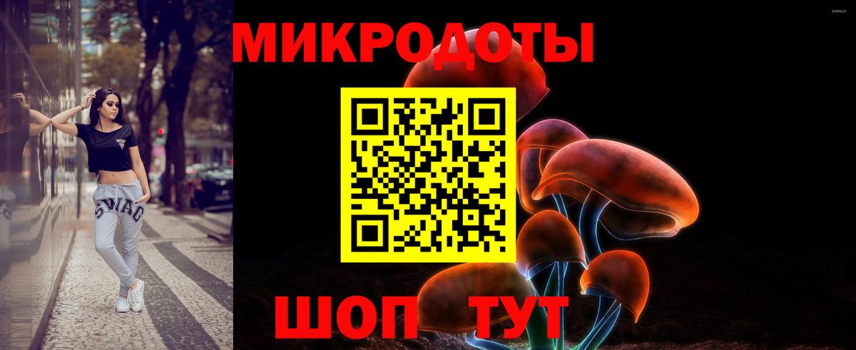 Псилоцибиновые грибы GOLDEN TEACHER  Вход с VPN  Сызрань  Псилоцибиновые грибы Cubensis 