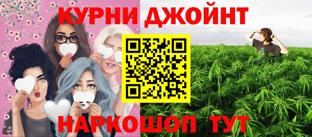 Бошки Шишки ГИДРОПОН  Каннабис White Widow  Сызрань  Вход с VPN  Марихуана VHQ 